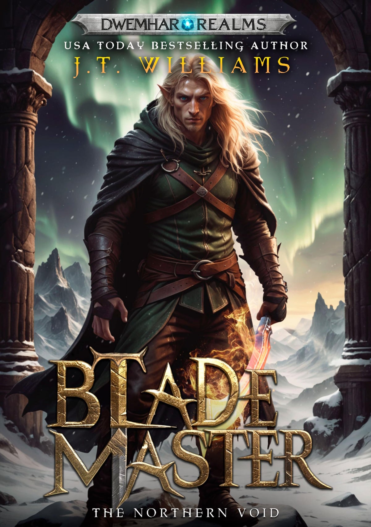 Blademaster: The Northern Void cover
