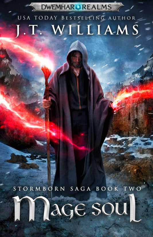Mage Soul cover